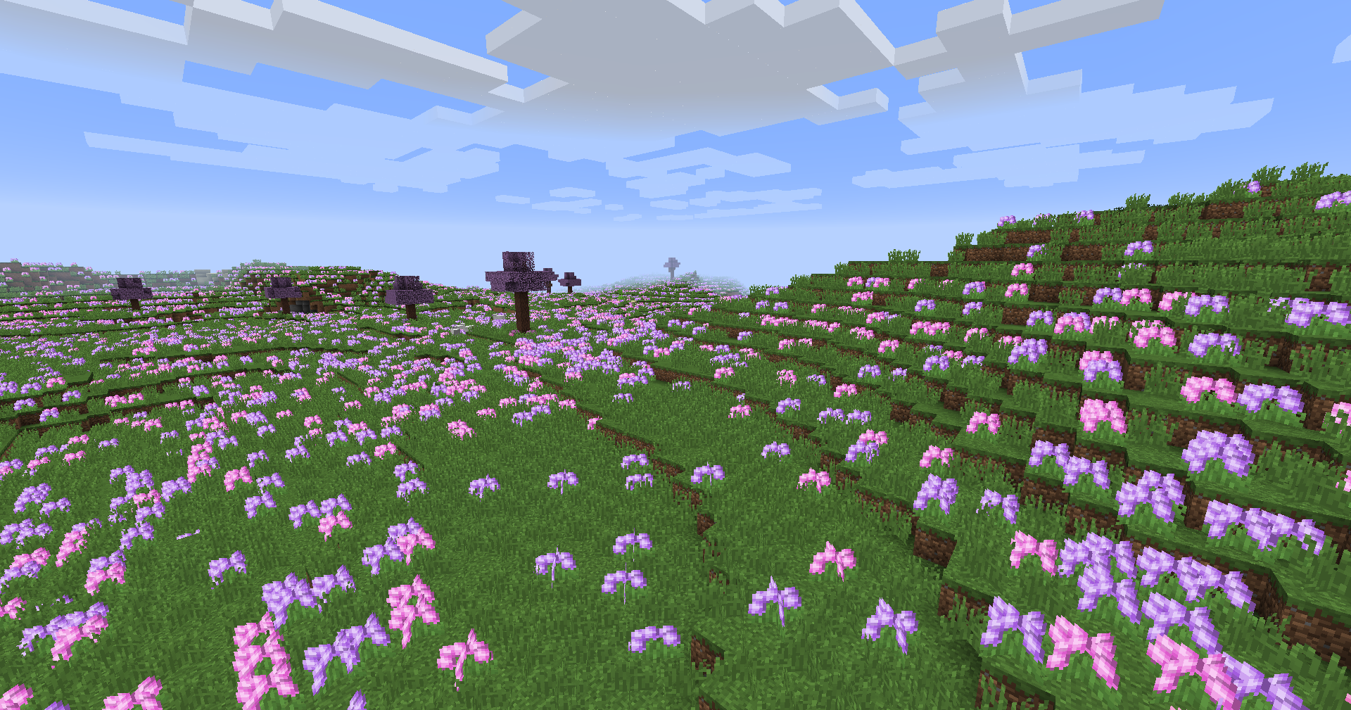 BYG allium fields biome