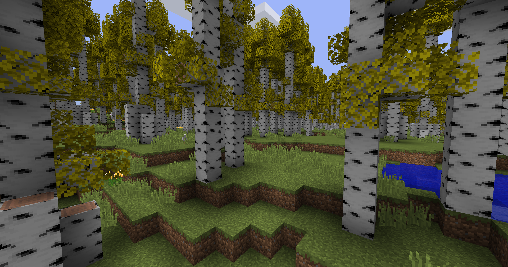 Aspen Forest biome