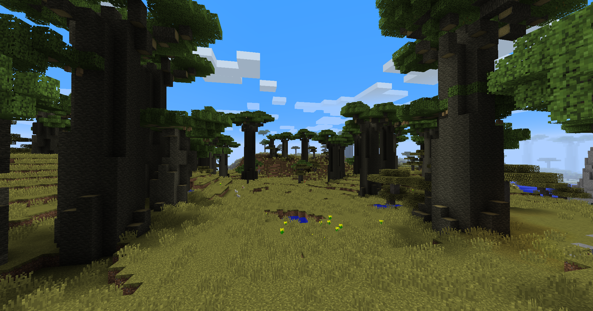 Baobab Savanna biome