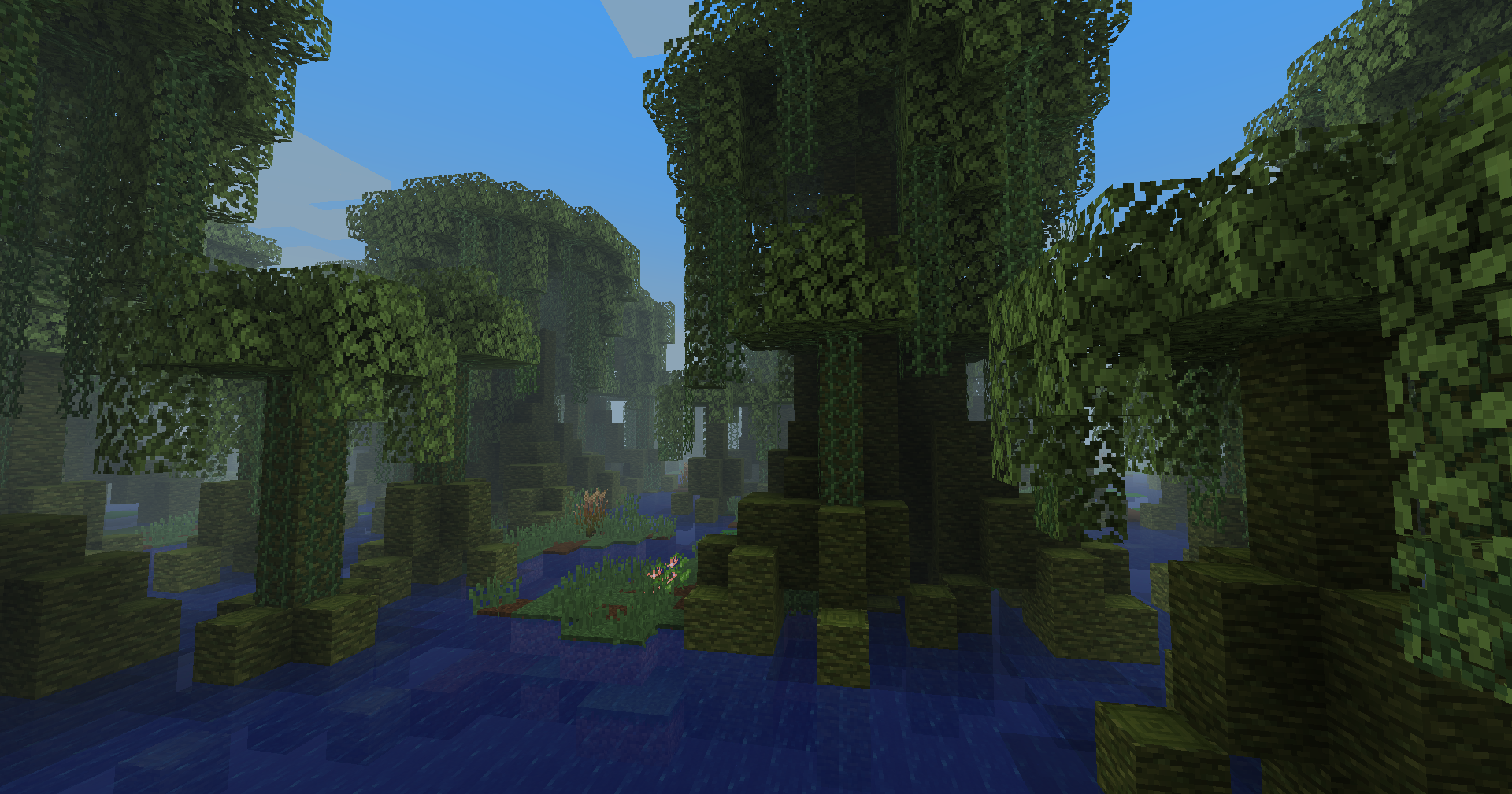 Bayou biome