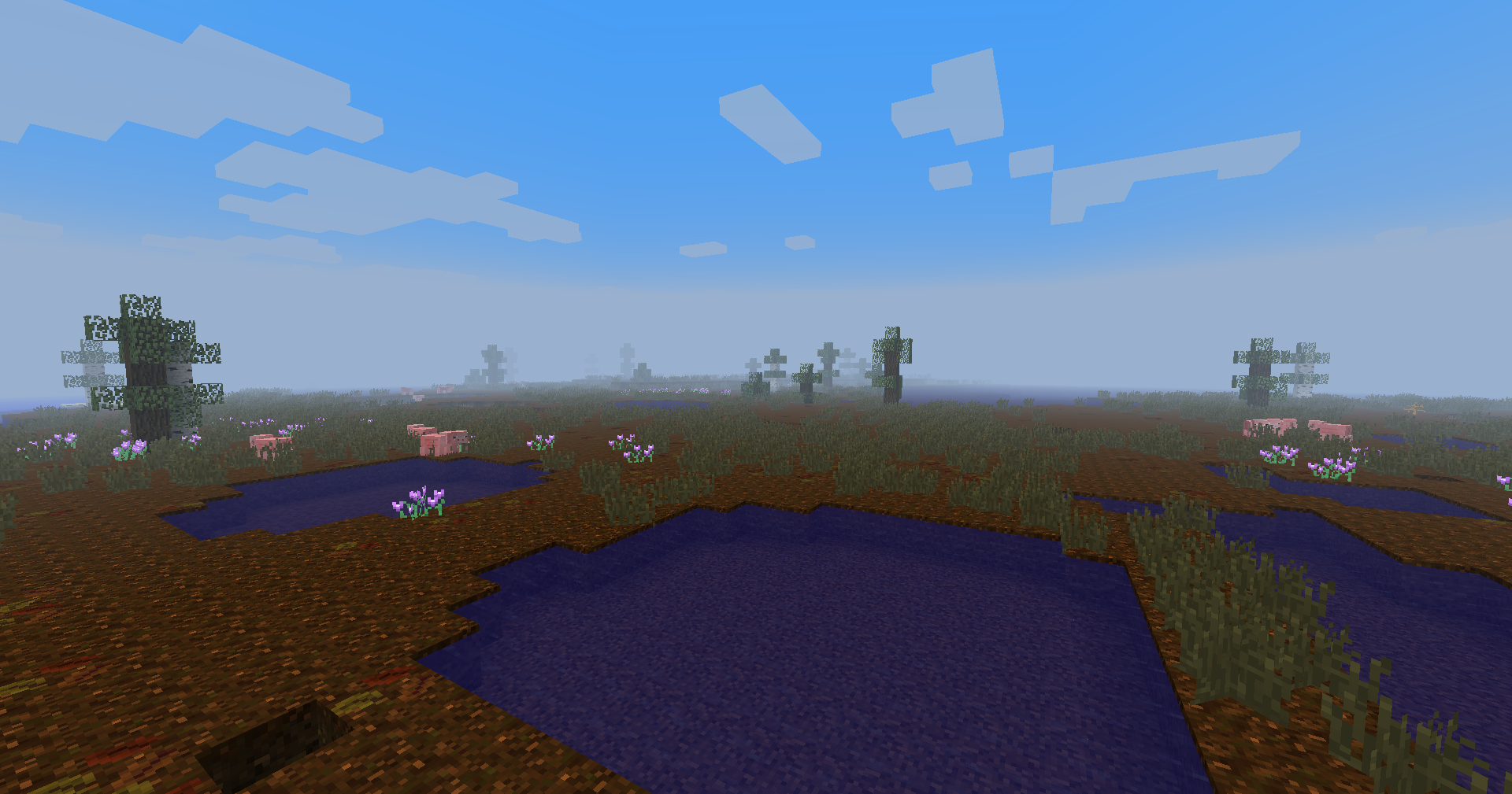 Bog biome
