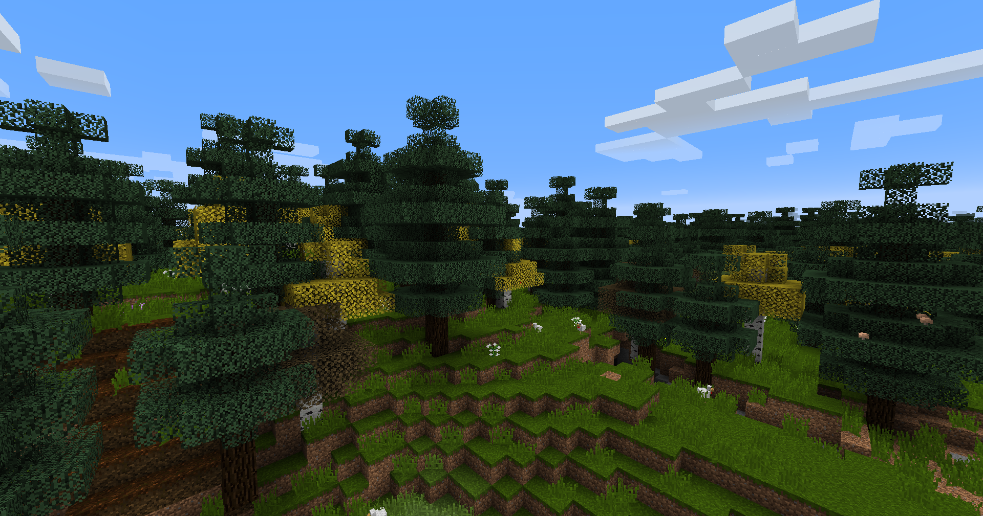 Boreal Forest biome