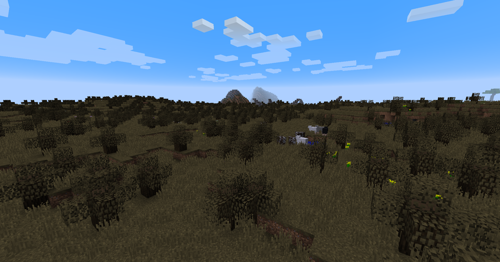 Chaparral Lowlands biome