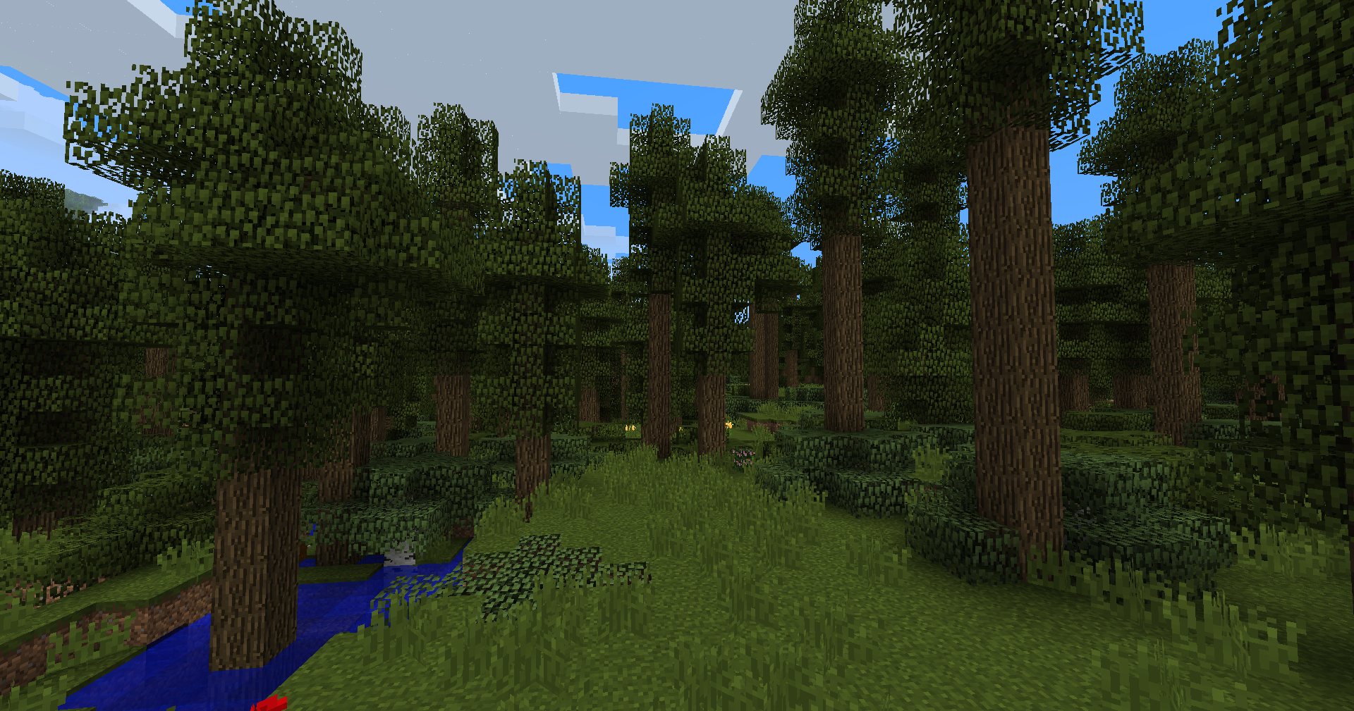 Deciduous Forest biome
