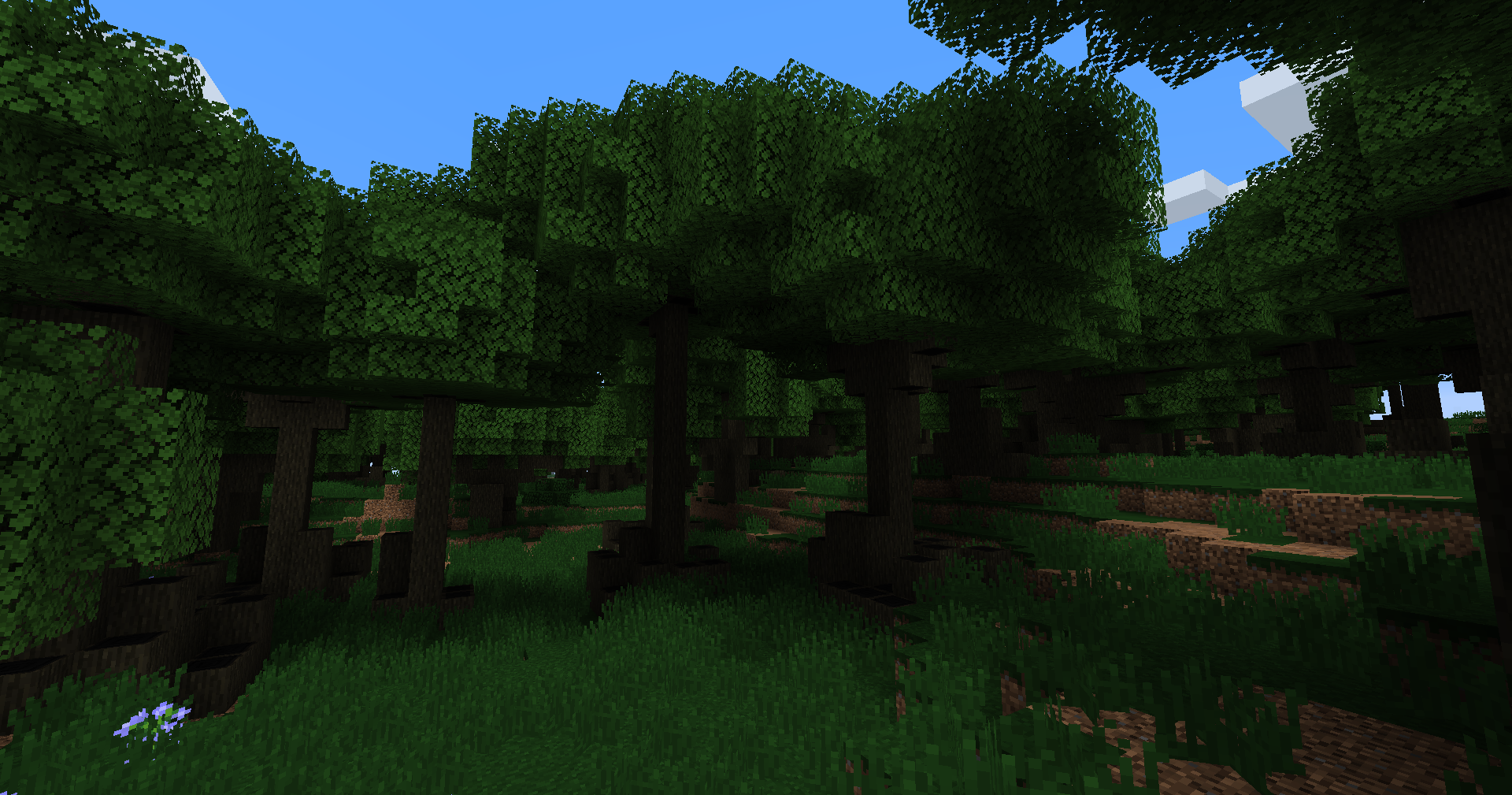 Ebony Woods biome