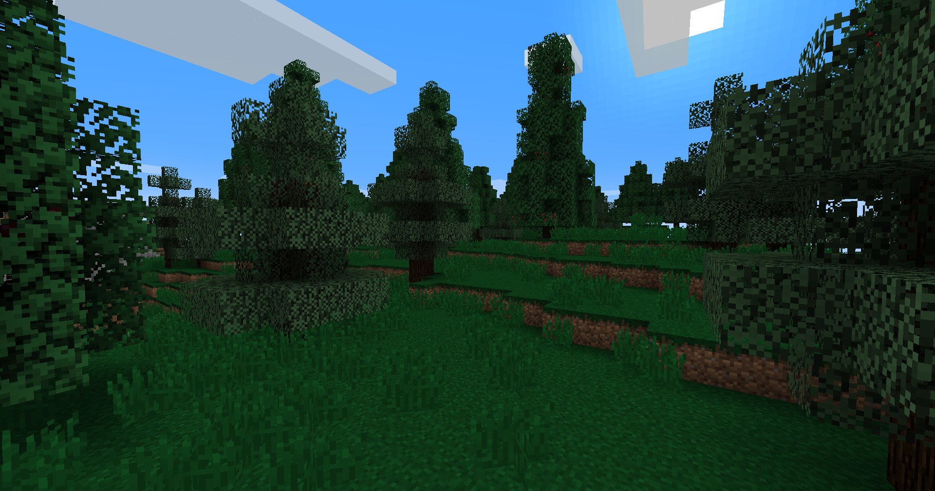 Evergreen Taiga biome