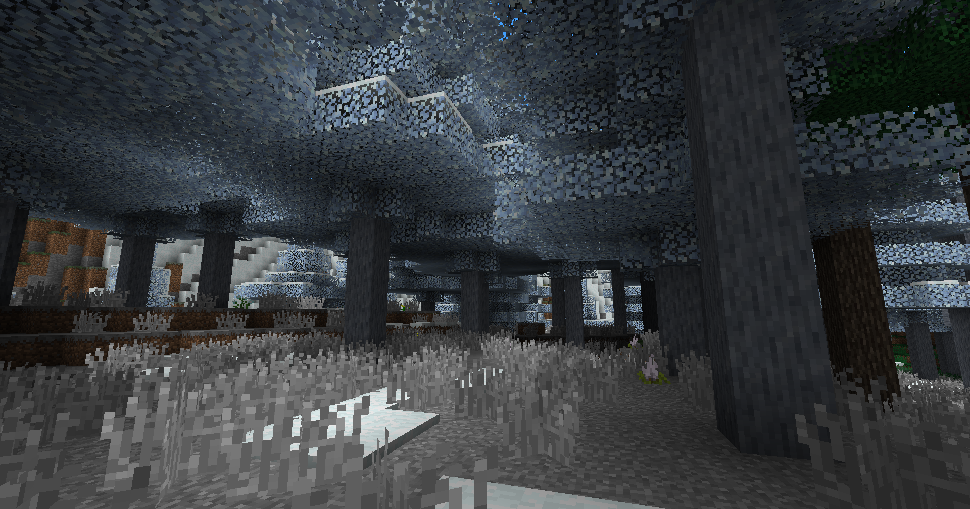 Frosty Forest biome