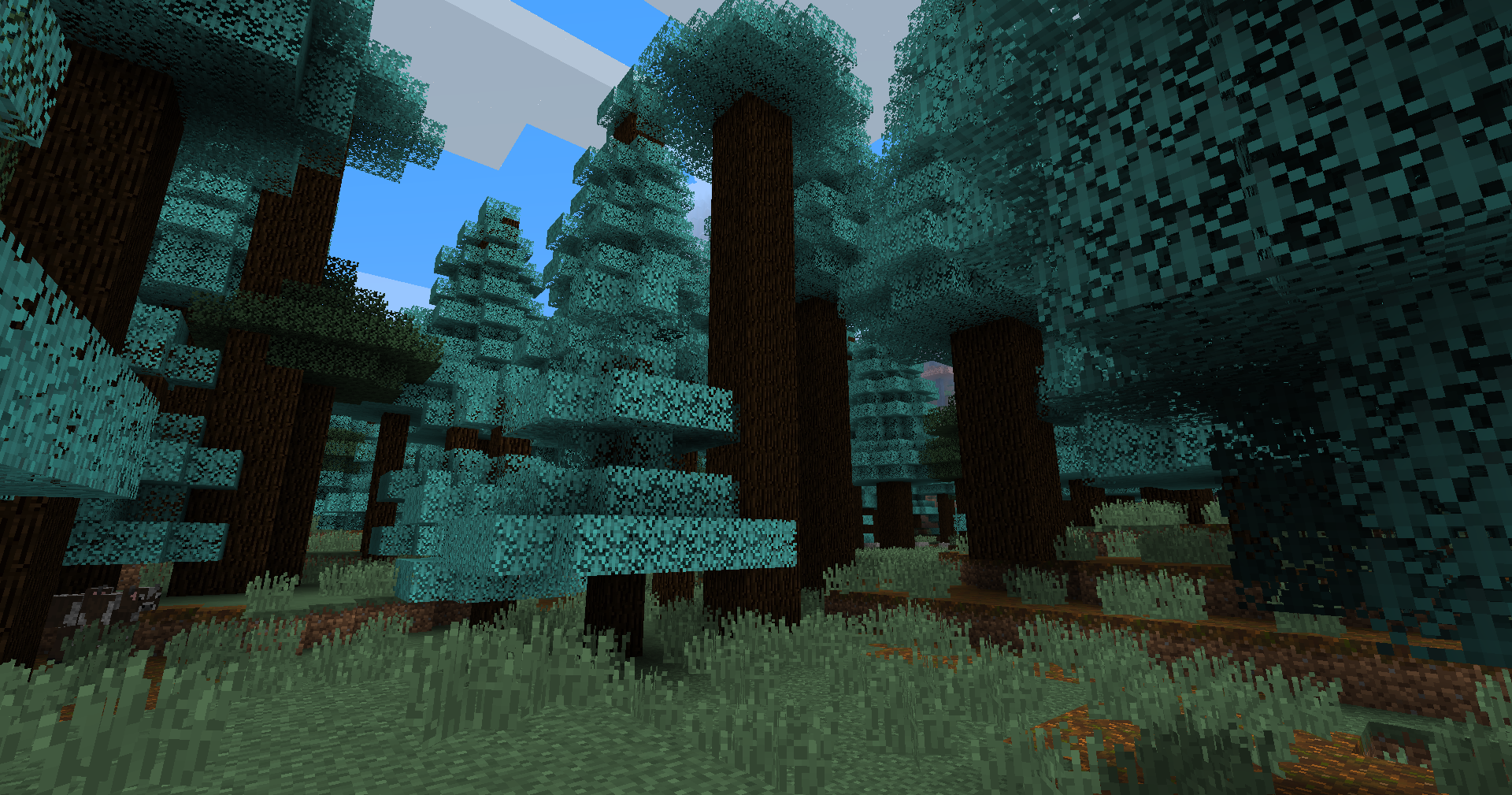 Giant Blue Spruce Taiga biome