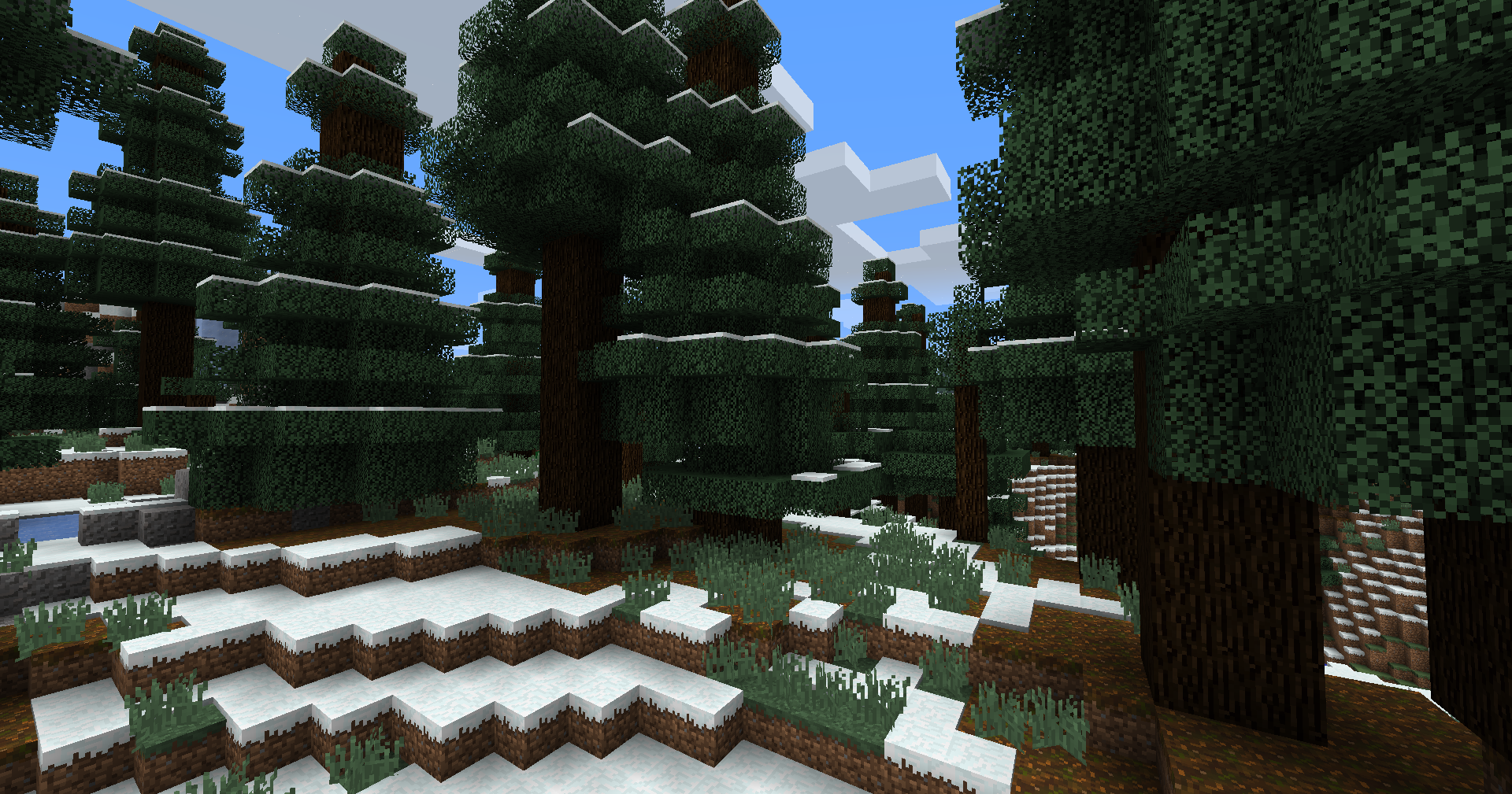 Giant Snowy Spruce Taiga biome