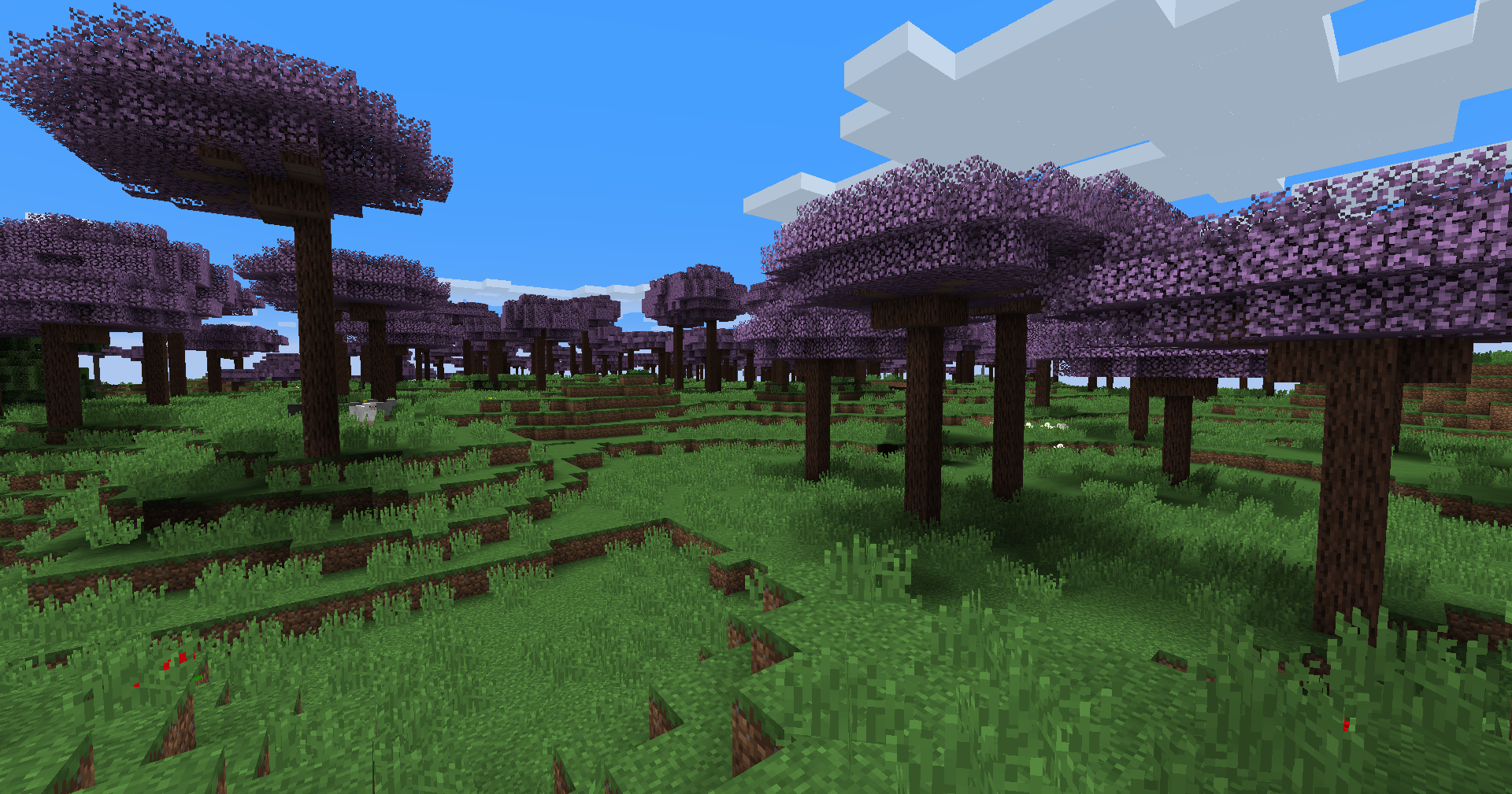 Jacaranda Forest biome
