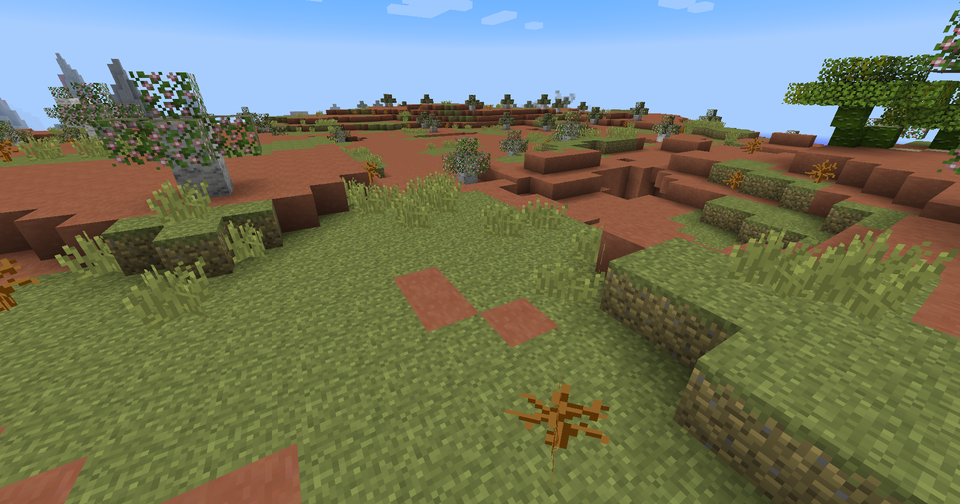 Lush Desert biome