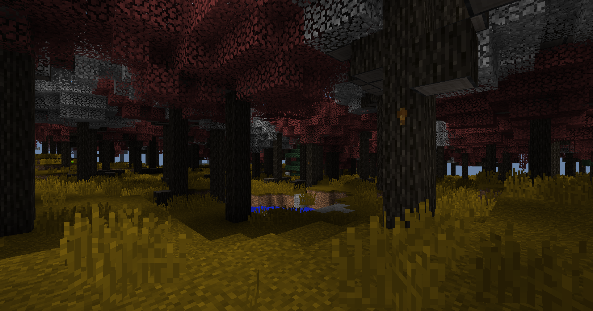 Maple Taiga biome