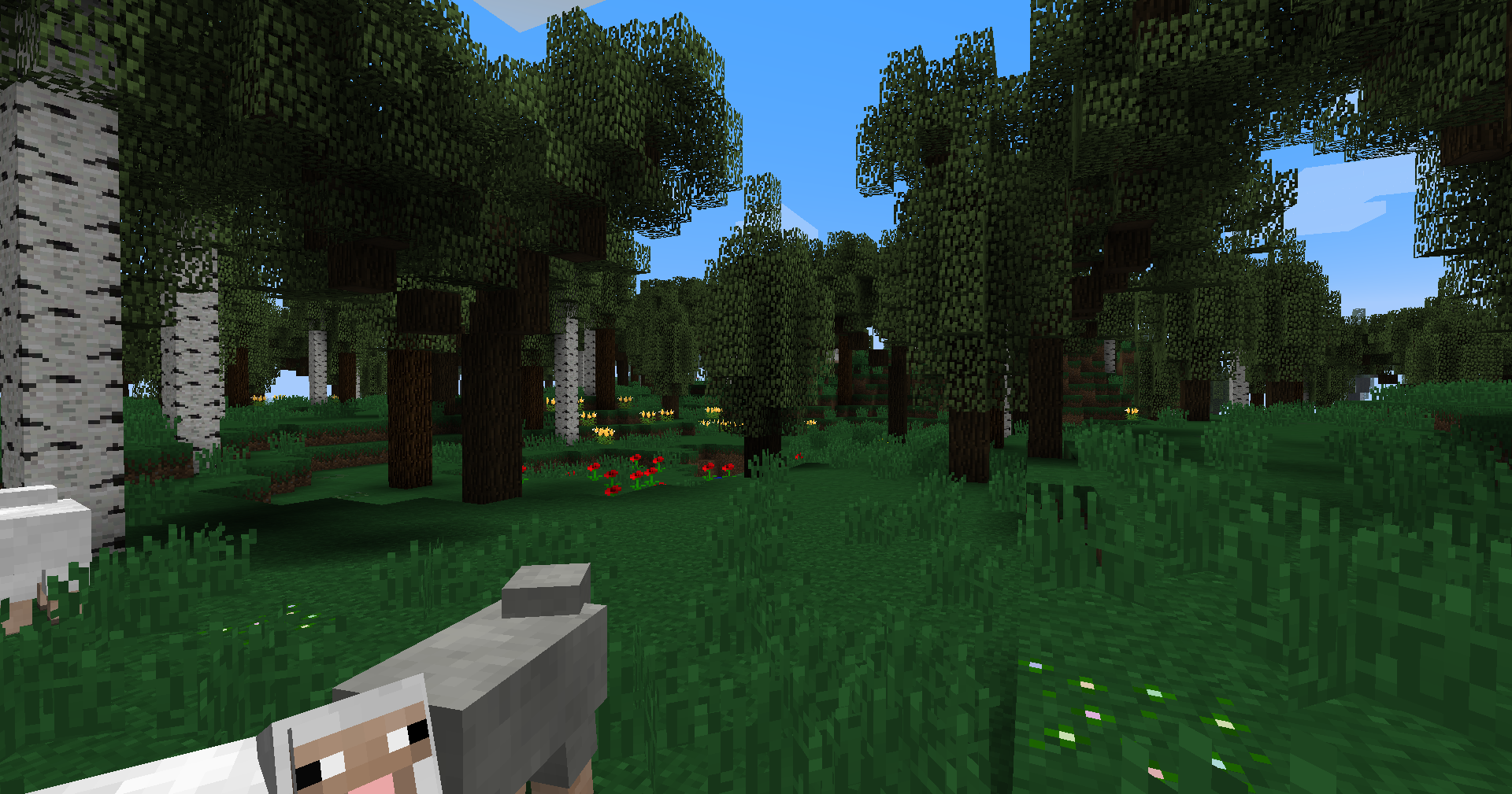 Meadow biome