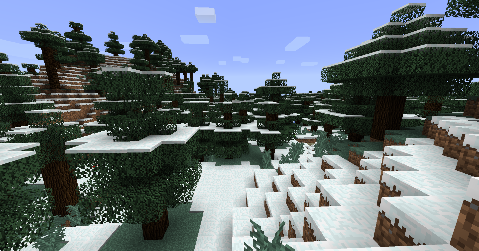 Northern Forest biome