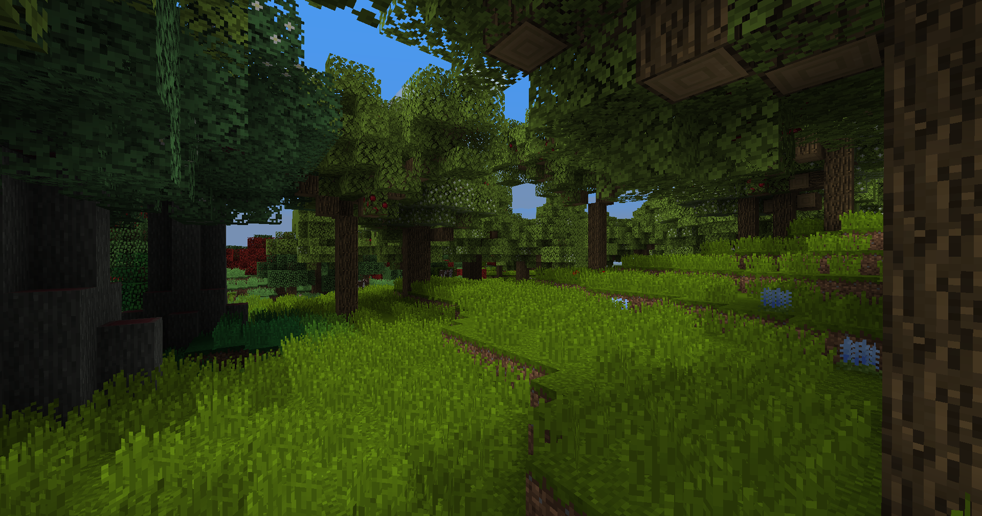 Orchard biome