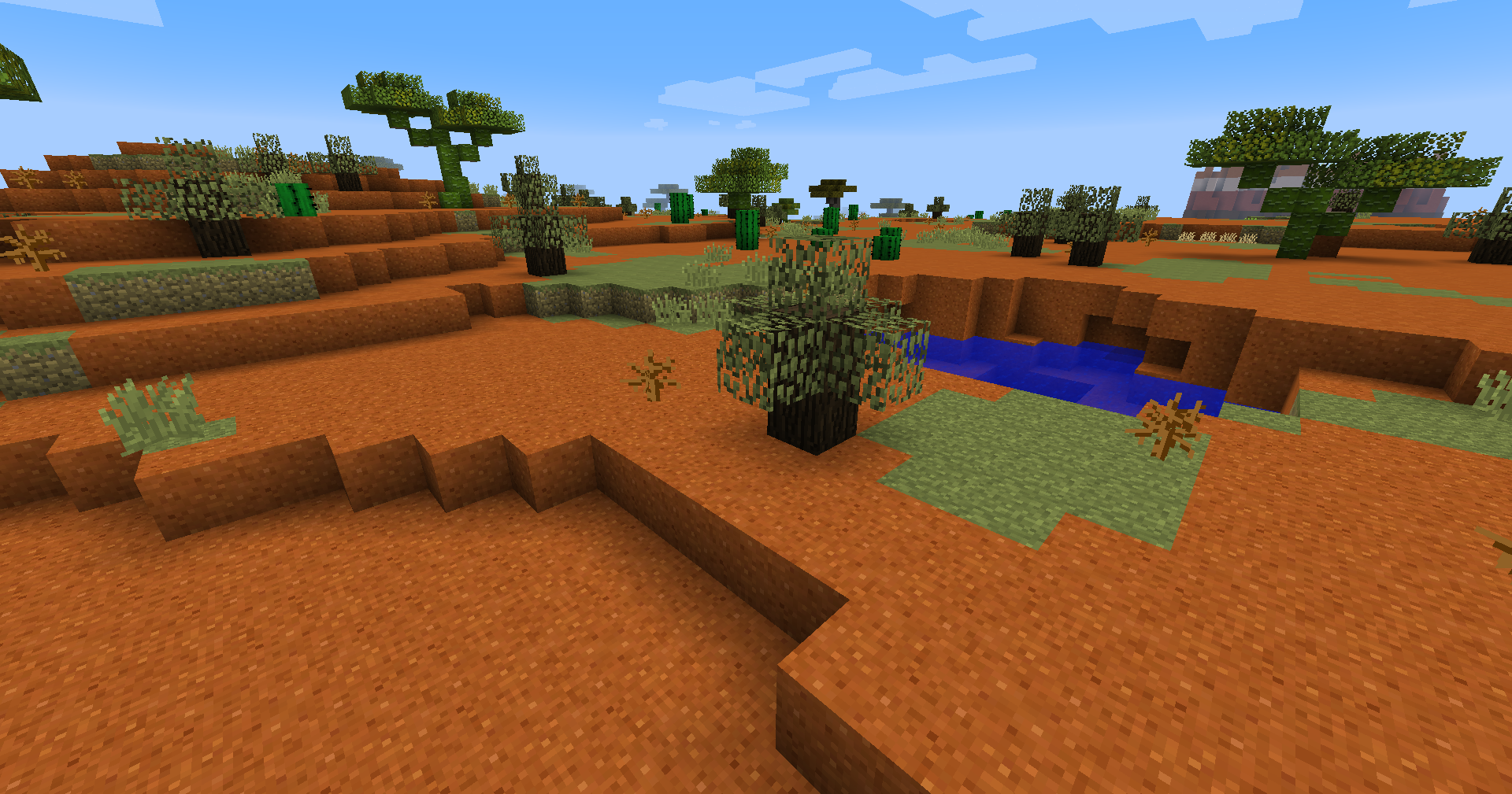 Outback biome