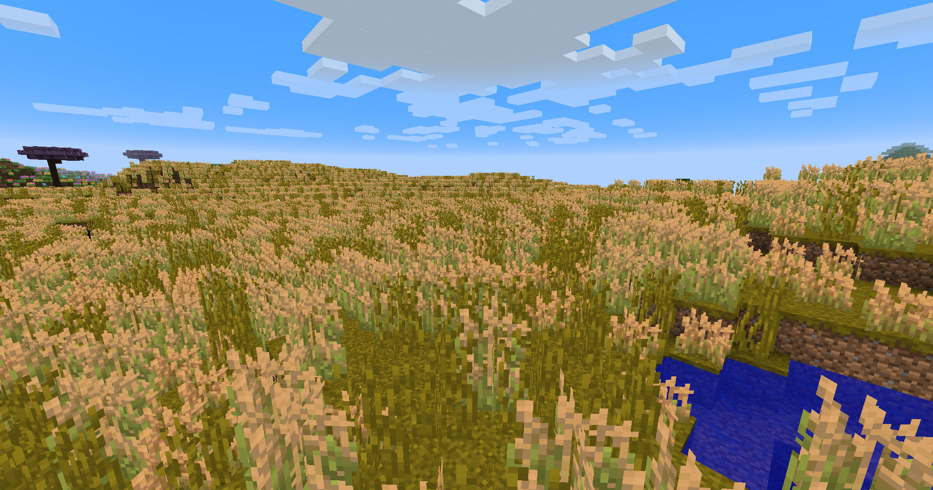 Prairie biome