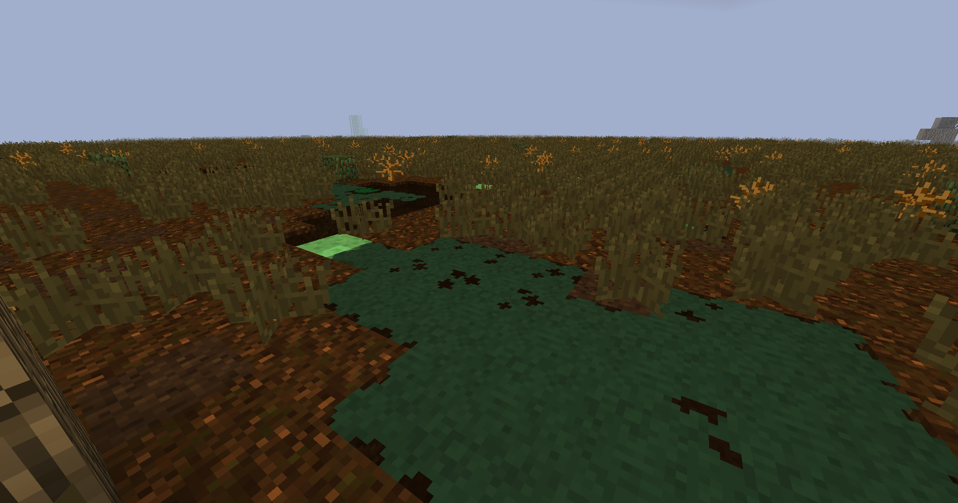 Quagmire biome