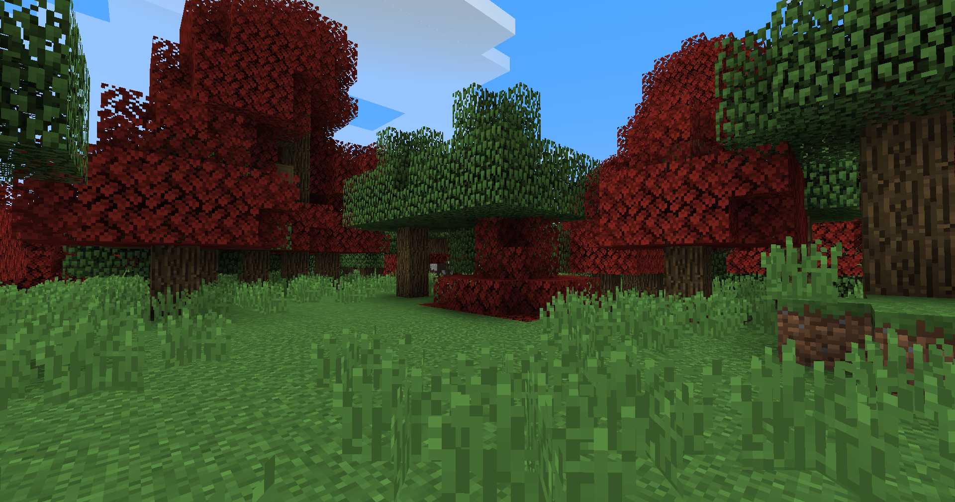 Red Oak Forest biome