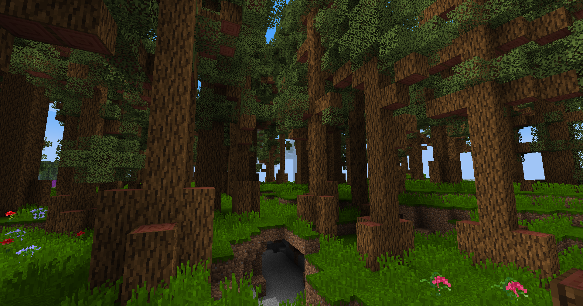 Redwood Tropics biome