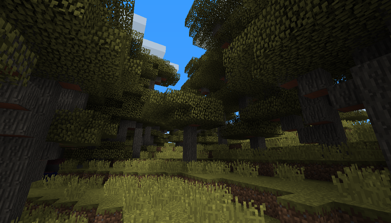 Savanna Canopy biome