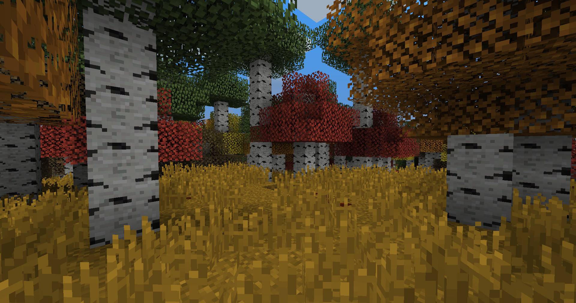 Seasonal Birch Forest biome