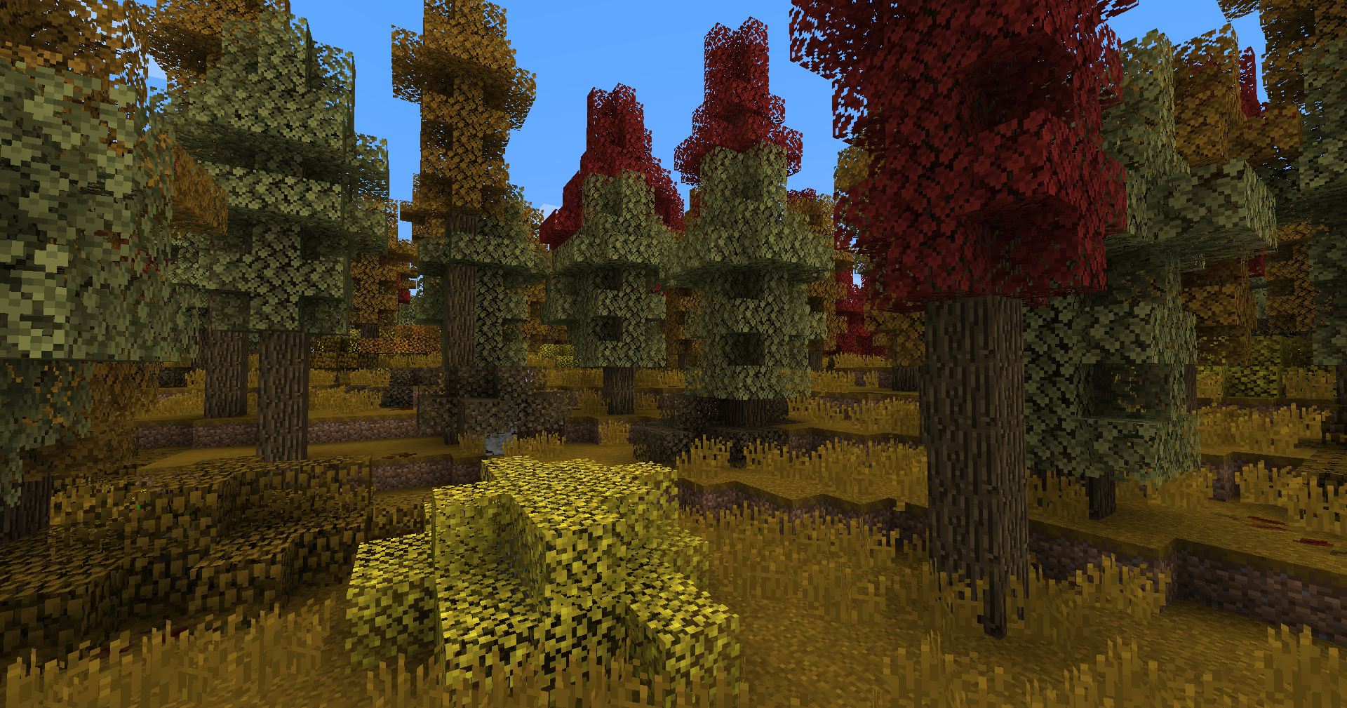 Seasonal Deciduous biome