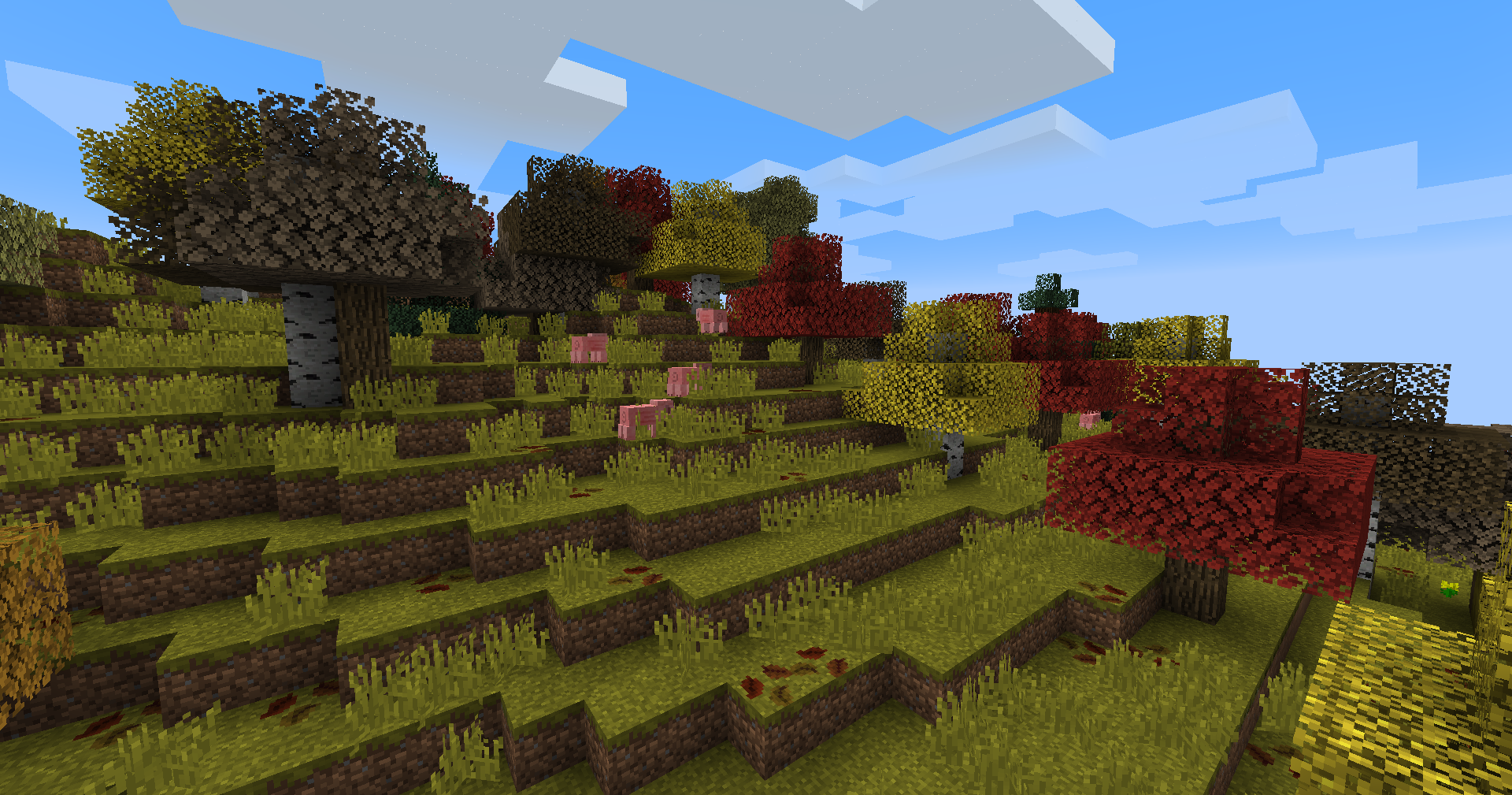 Seasonal Forest biome