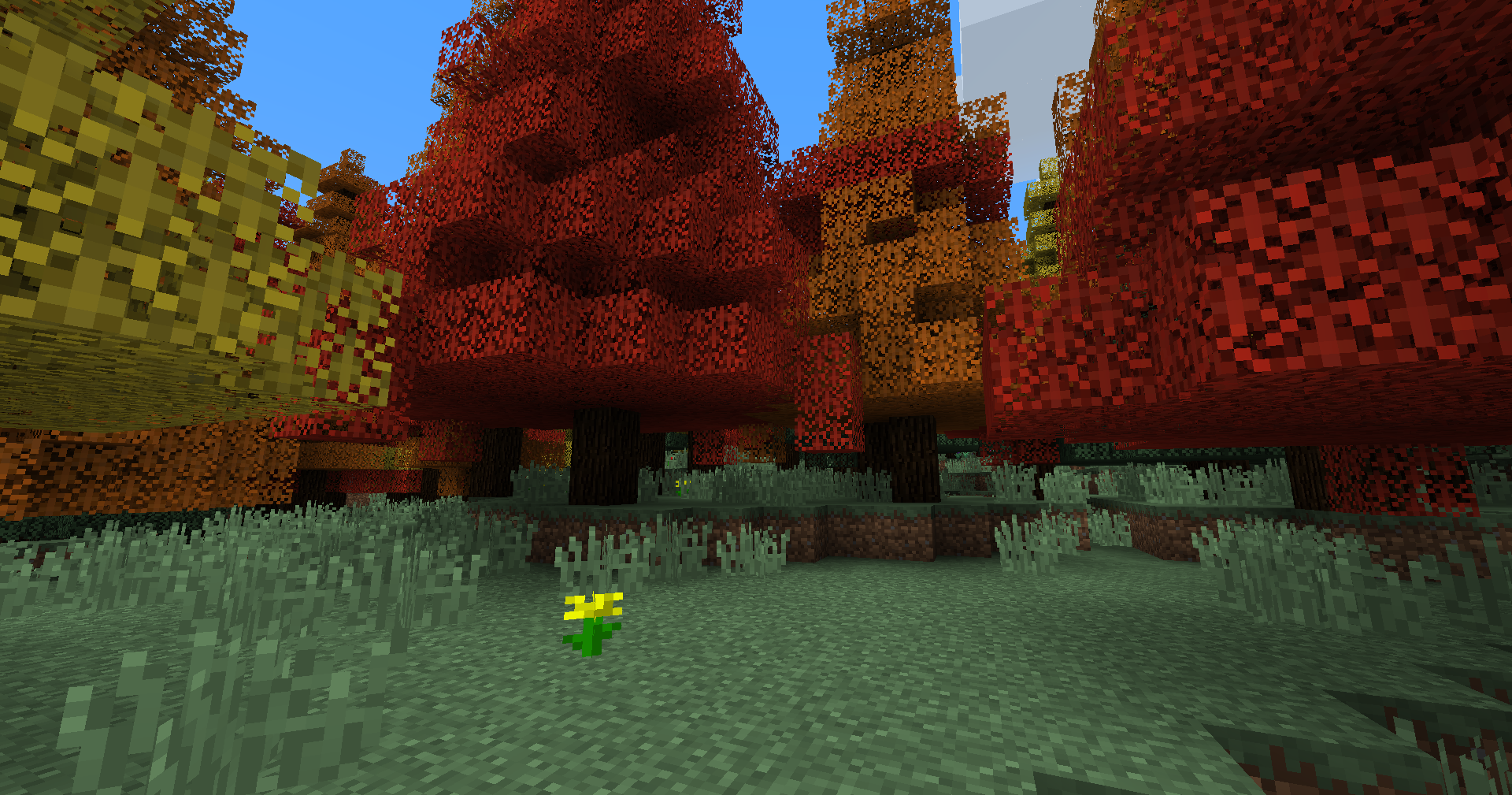 Seasonal Taiga biome