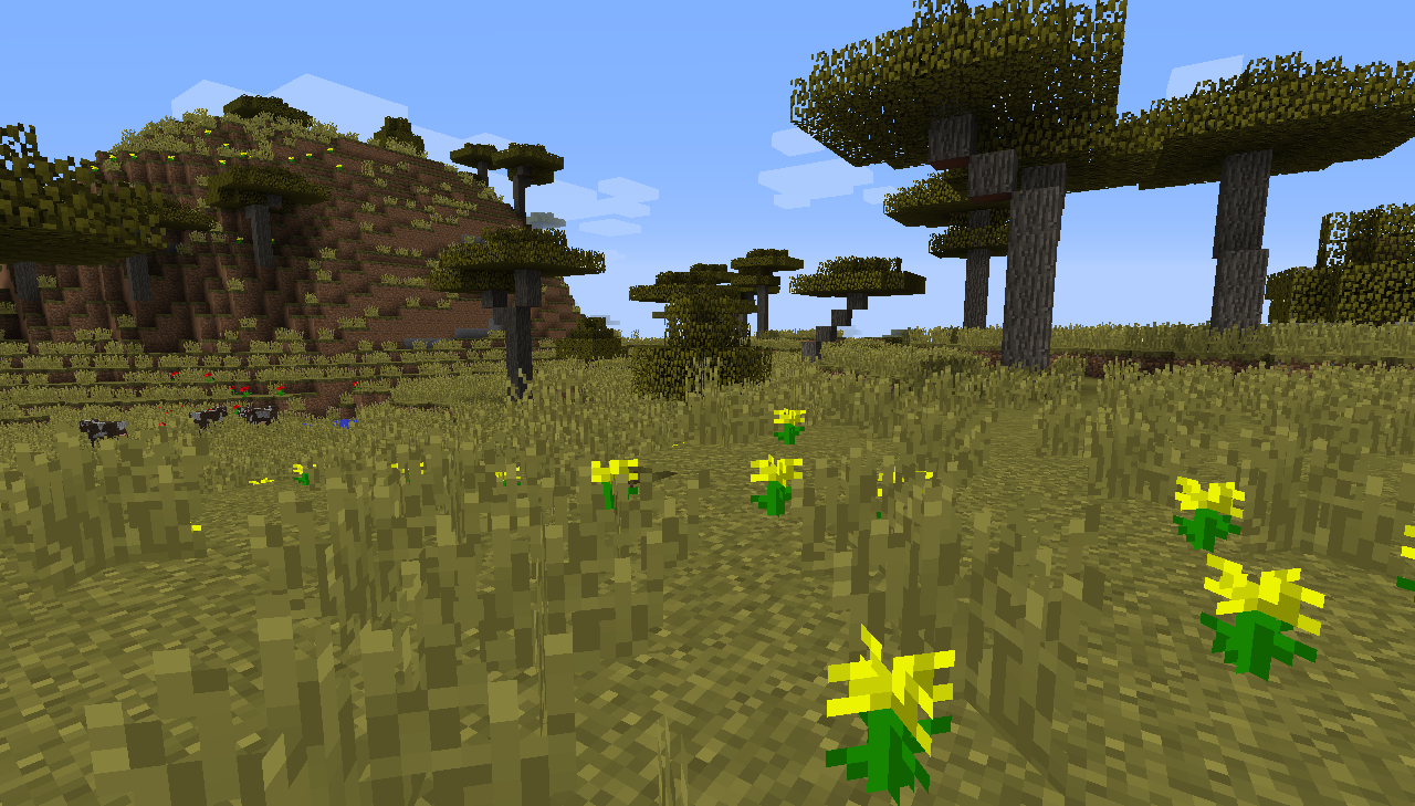 Shrublands biome