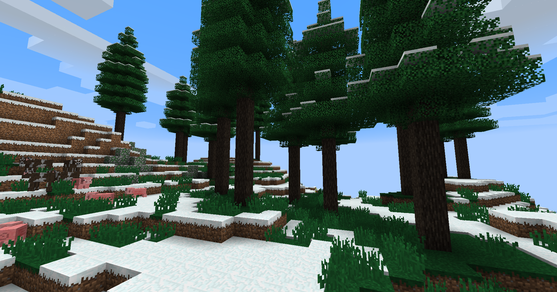 Snowy Coniferous Forest biome