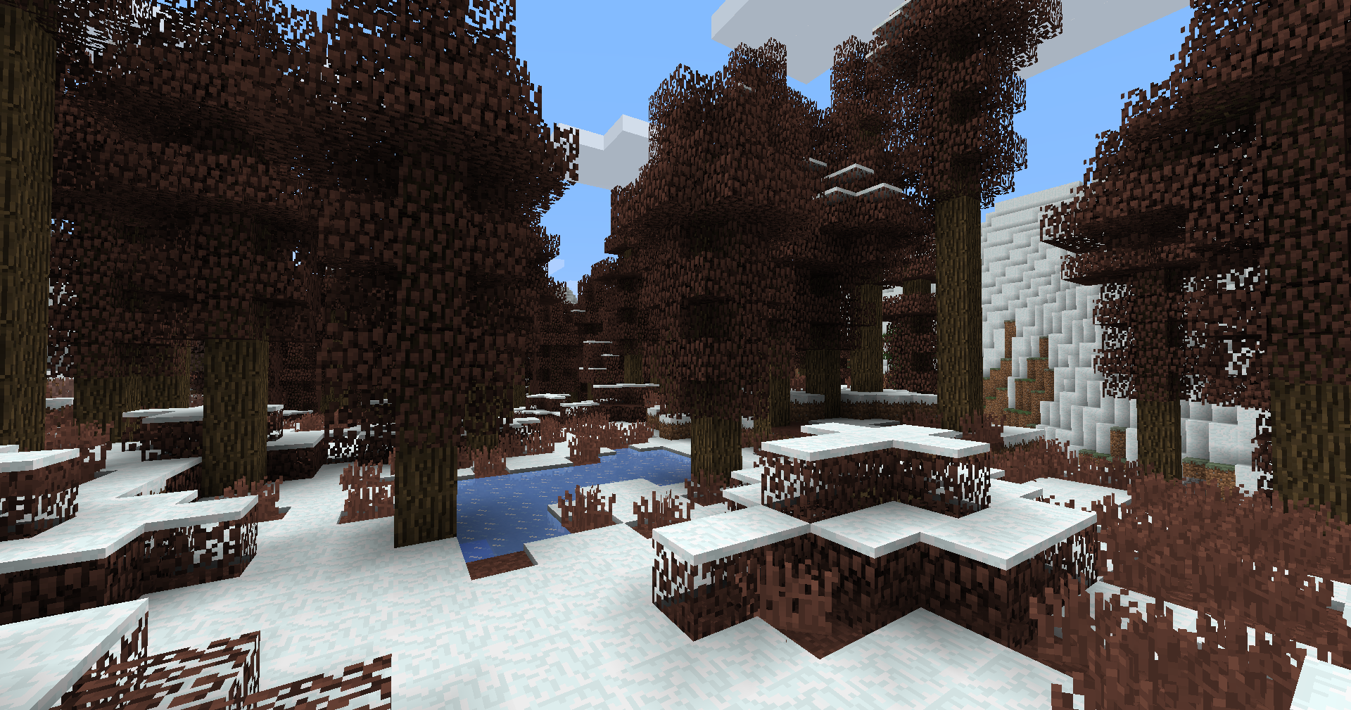 Snowy Deciduous Forest biome