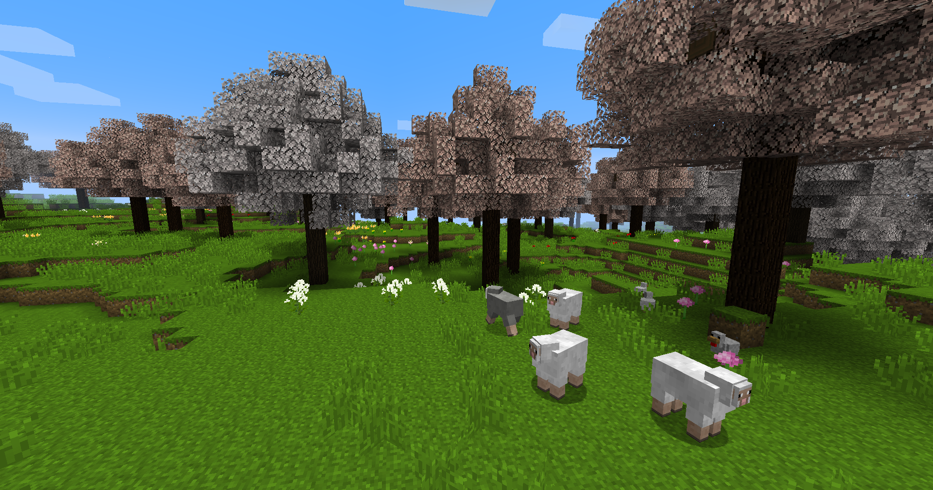 Stellata Pasture biome