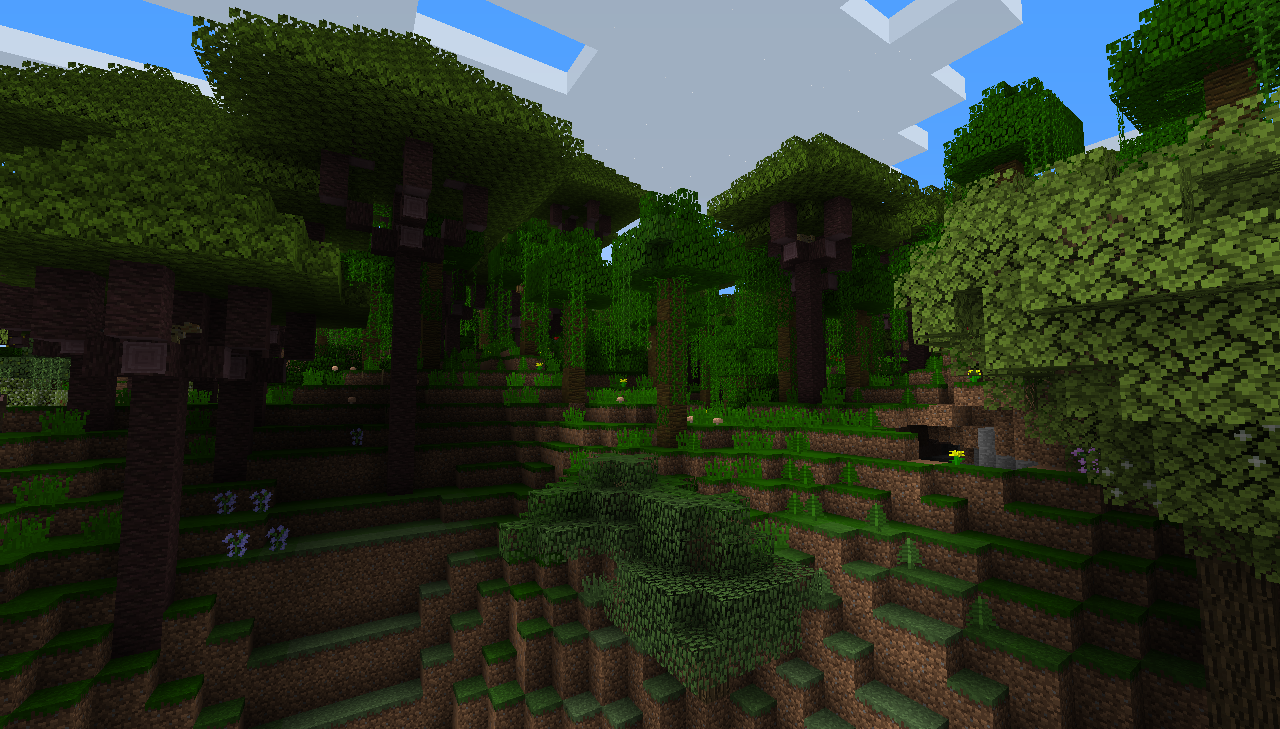 Tropical Rainforest biome