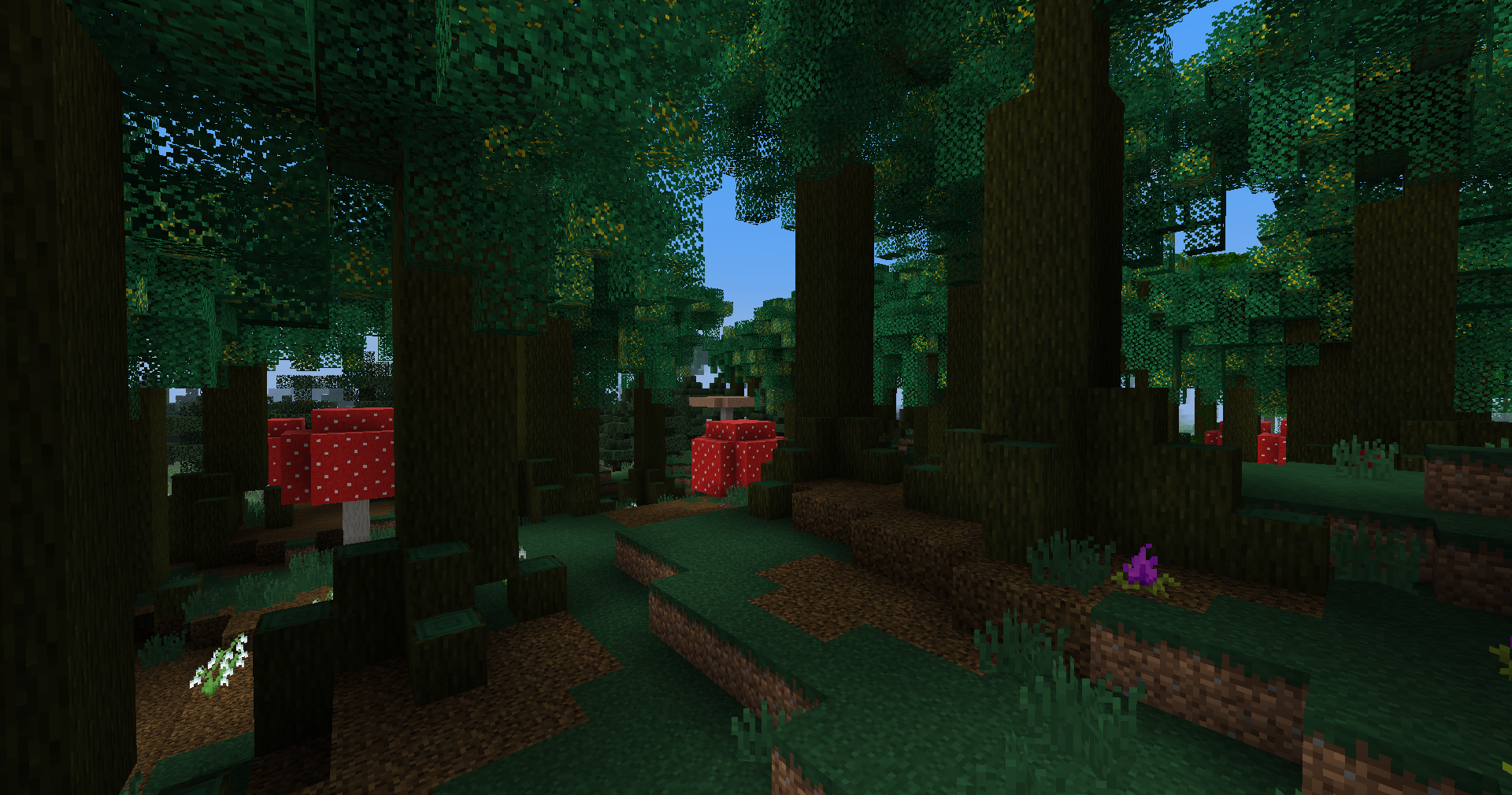 Weeping Witch Forest biome