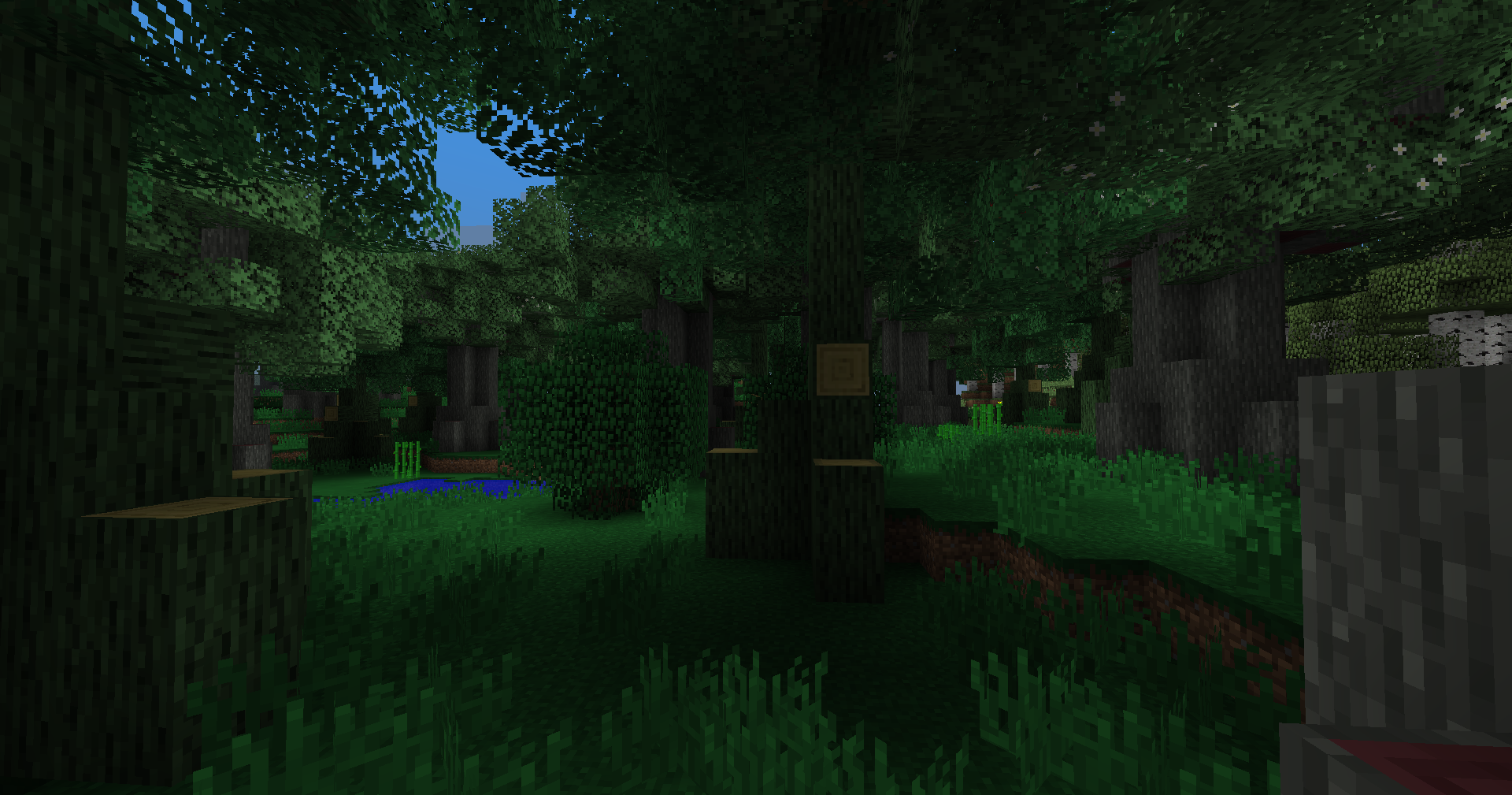 Whispering Woods biome