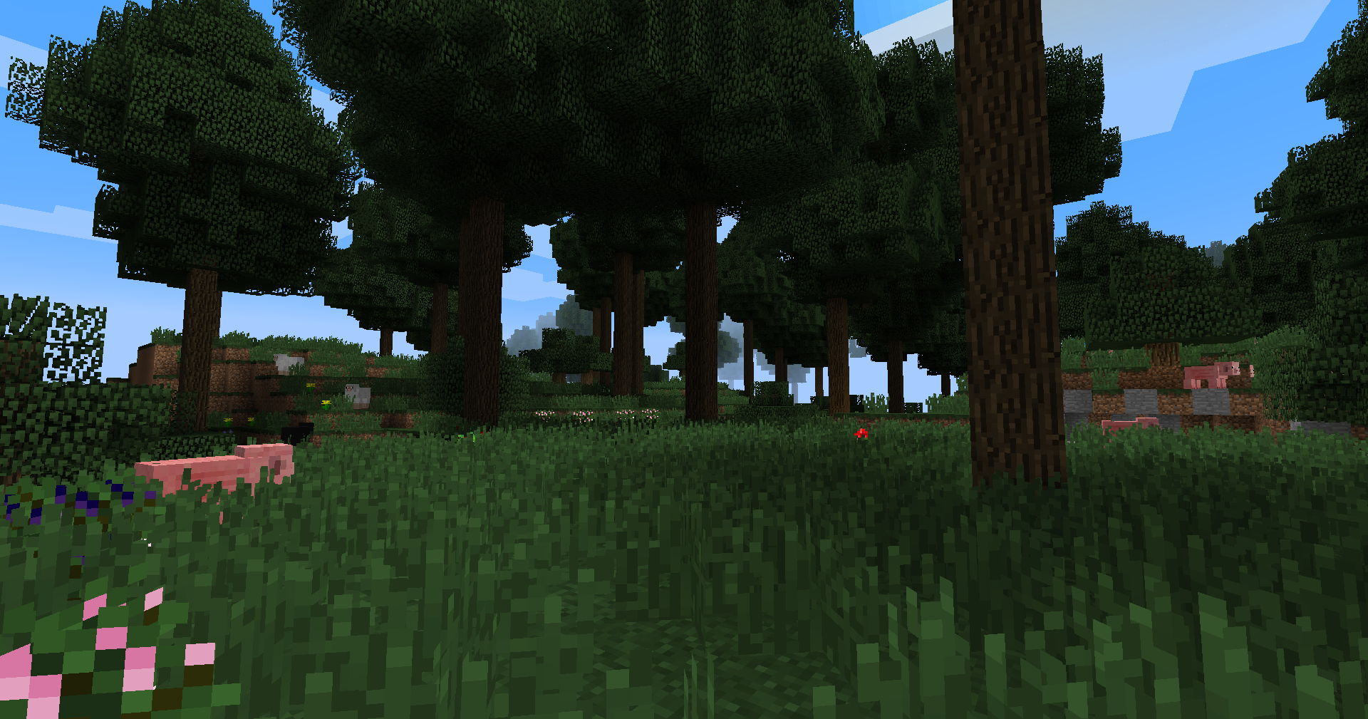 Woodlands biome